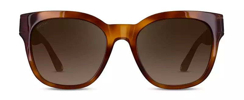 Aspinal of London LUMIERE COL.02: HONEY TORTOISESHELL