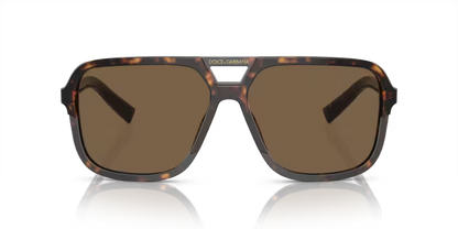 Dolce & Gabbana  DG4354 Havana