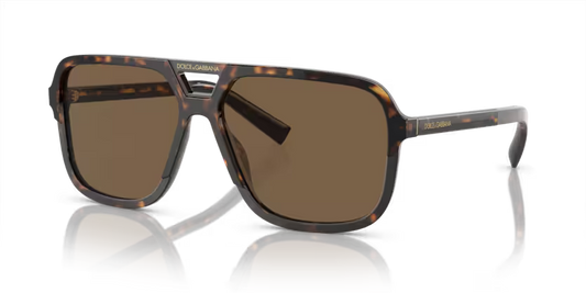 Dolce & Gabbana  DG4354 Havana