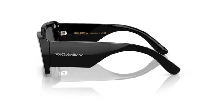 Dolce & Gabbana DG4426  Black
