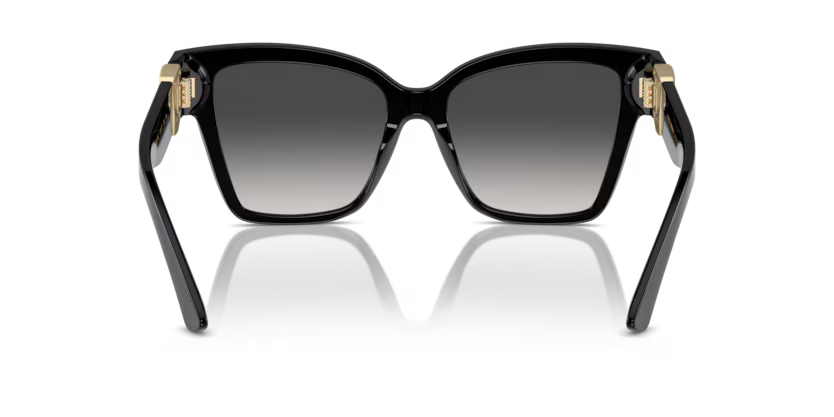 Dolce & Gabbana DG4470 Black