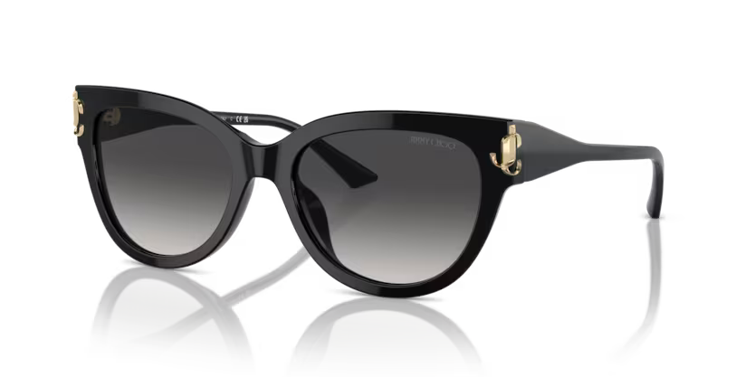 JIMMY CHOO ROSA