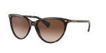 RalphRA5270 Shiny Dark Havana