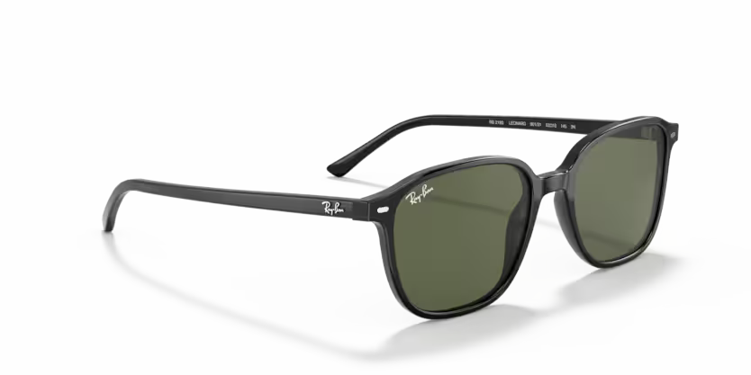 Ray-Ban Leonard RB2193 - Black