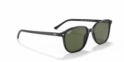 Ray-Ban Leonard RB2193 - Black