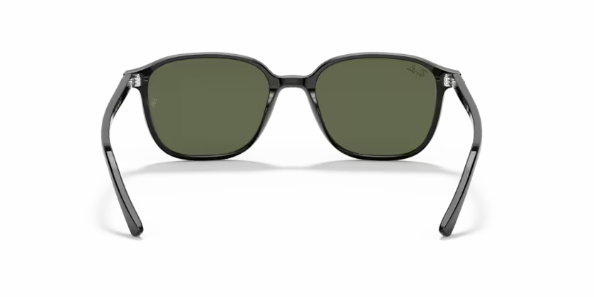 Ray-Ban Leonard RB2193 - Black