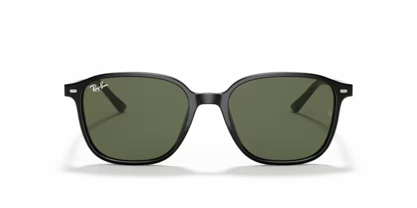 Ray-Ban Leonard RB2193 - Black