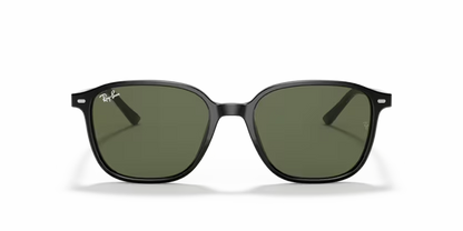 Ray-Ban Leonard RB2193 - Black