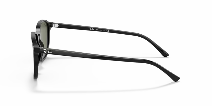Ray-Ban Leonard RB2193 - Black