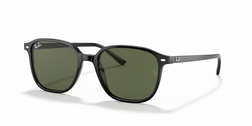 Ray-Ban Leonard RB2193 - Black
