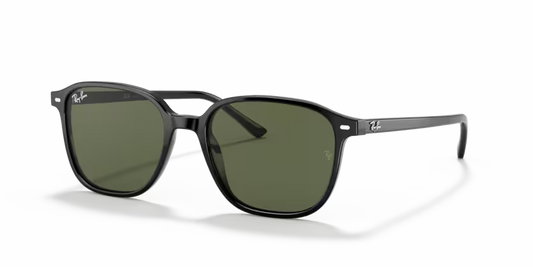 Ray-Ban Leonard RB2193 - Black