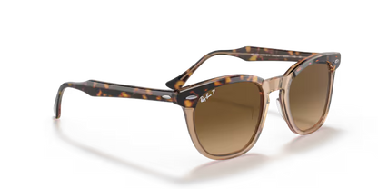 Ray-Ban Hawkeye RB2298 - Havana On Transparent Brown