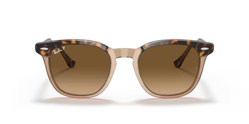 Ray-Ban Hawkeye RB2298 - Havana On Transparent Brown
