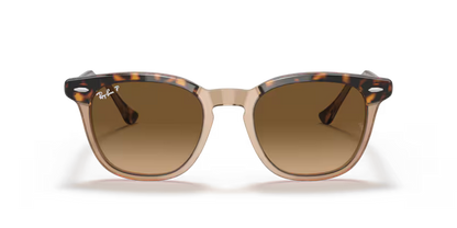 Ray-Ban Hawkeye RB2298 - Havana On Transparent Brown