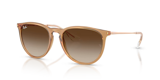 Ray-Ban Erika Classic RB4171 - Rubber Beige