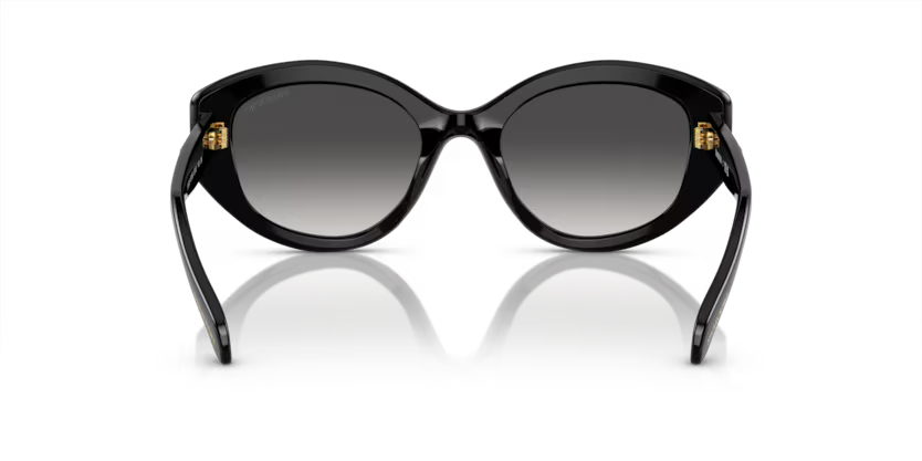 Swarovski 0SK6005