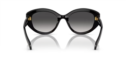 Swarovski 0SK6005