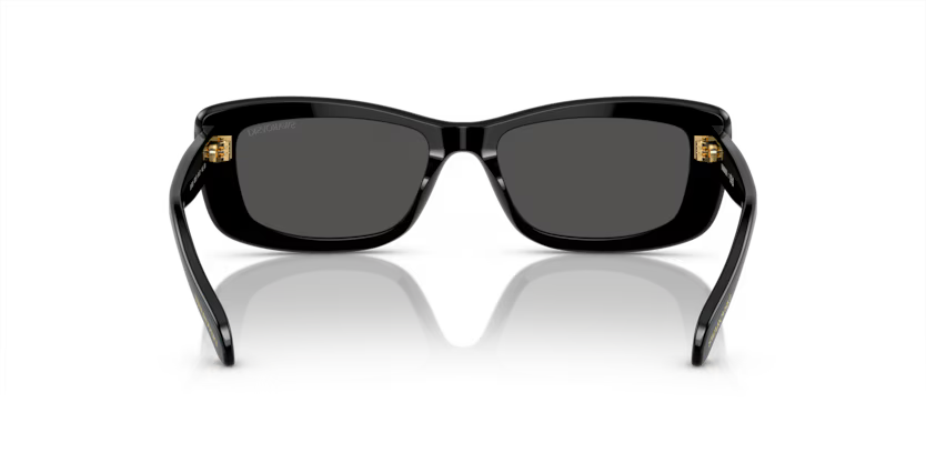 Swarovski 0SK6008