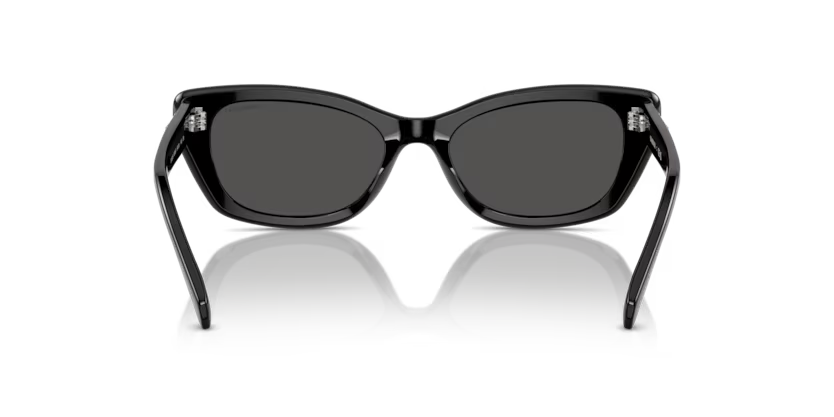 Swarovski 0SK6019