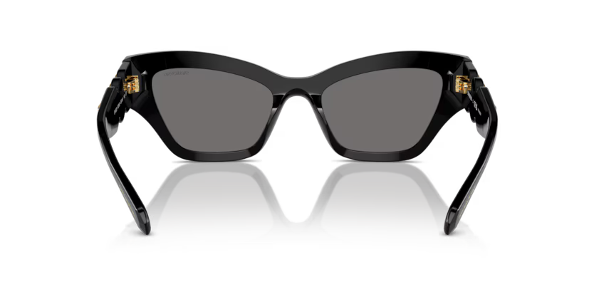 Swarovski 0SK6021
