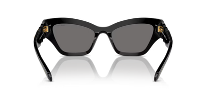 Swarovski 0SK6021