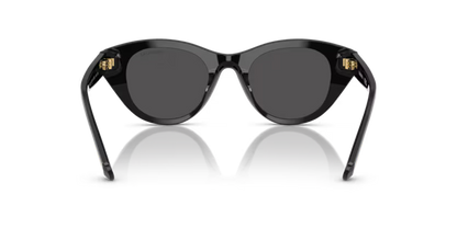 Swarovski 0SK6025
