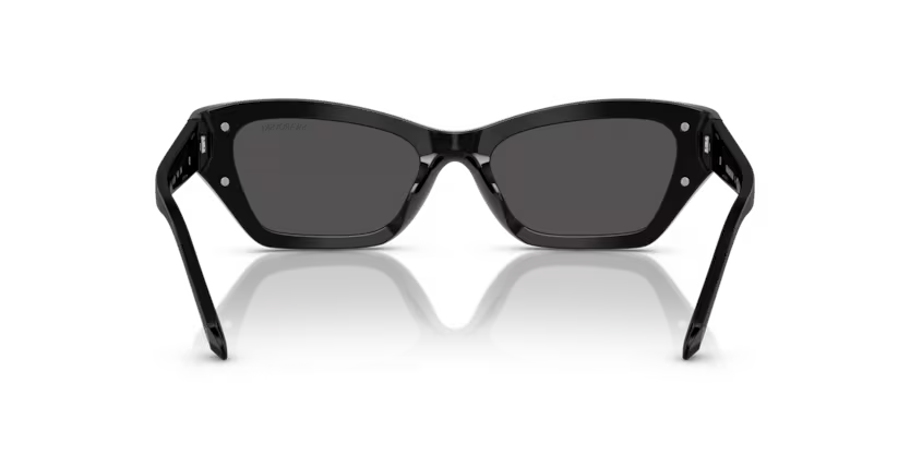 Swarovski 0SK6029