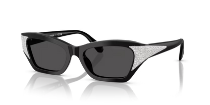 Swarovski 0SK6029