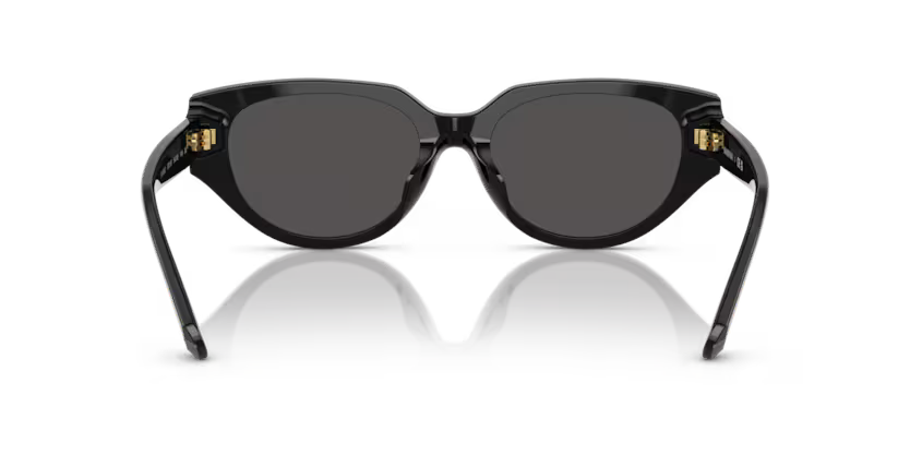 Swarovski 0SK6035D