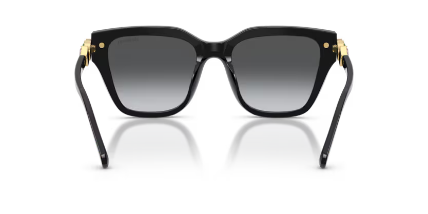 Swarovski 0SK6041