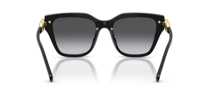 Swarovski 0SK6041