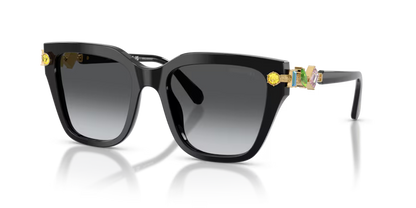 Swarovski 0SK6041