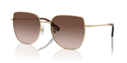 Swarovski 0SK7021D