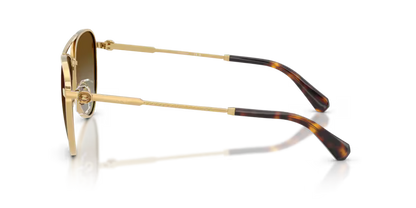 Swarovski 0SK7031