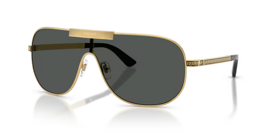 Versace Men's Luxury Series VE2293  Gold