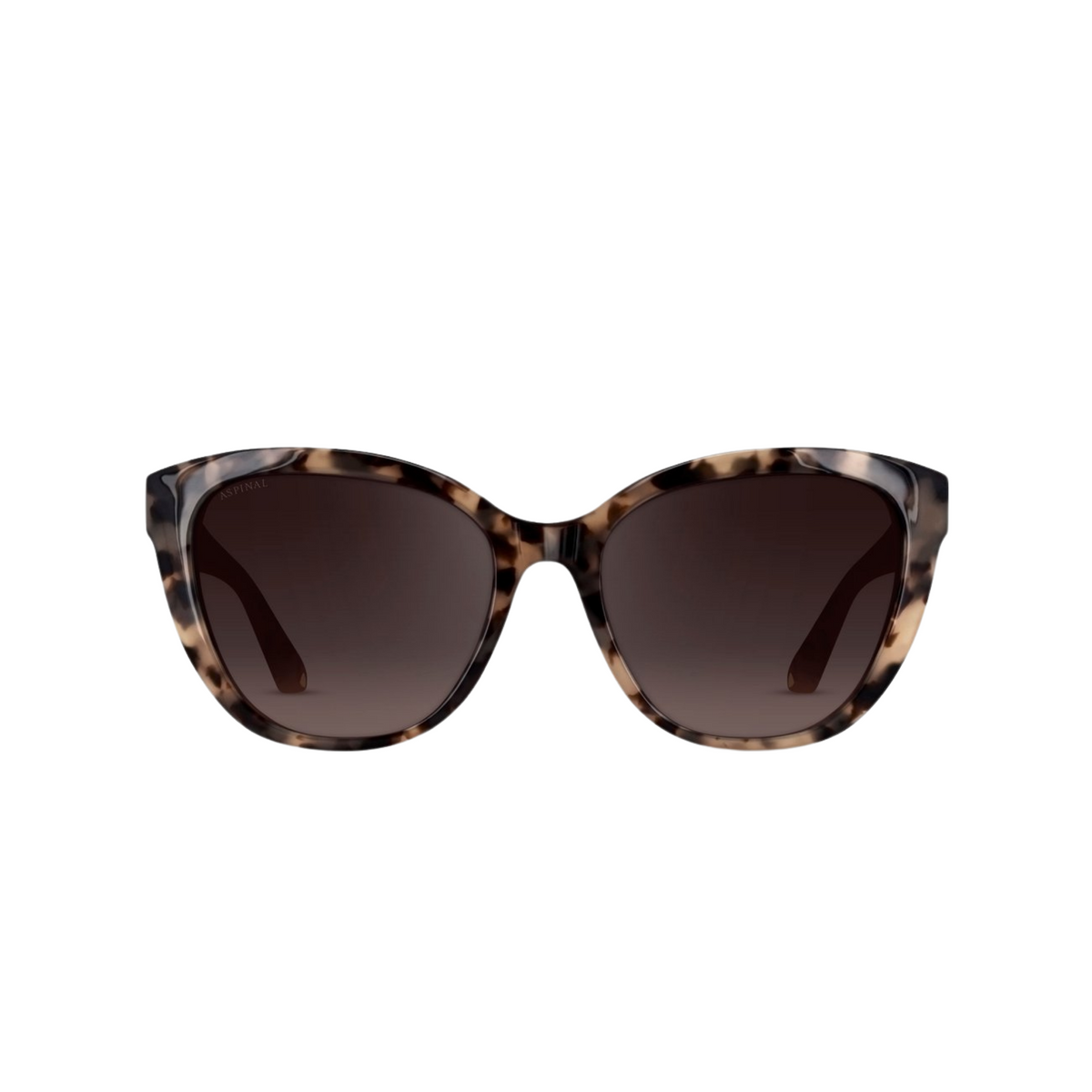 AURUM | Tortoiseshell