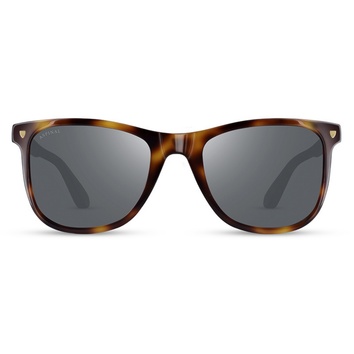 MILANO | Tortoiseshell