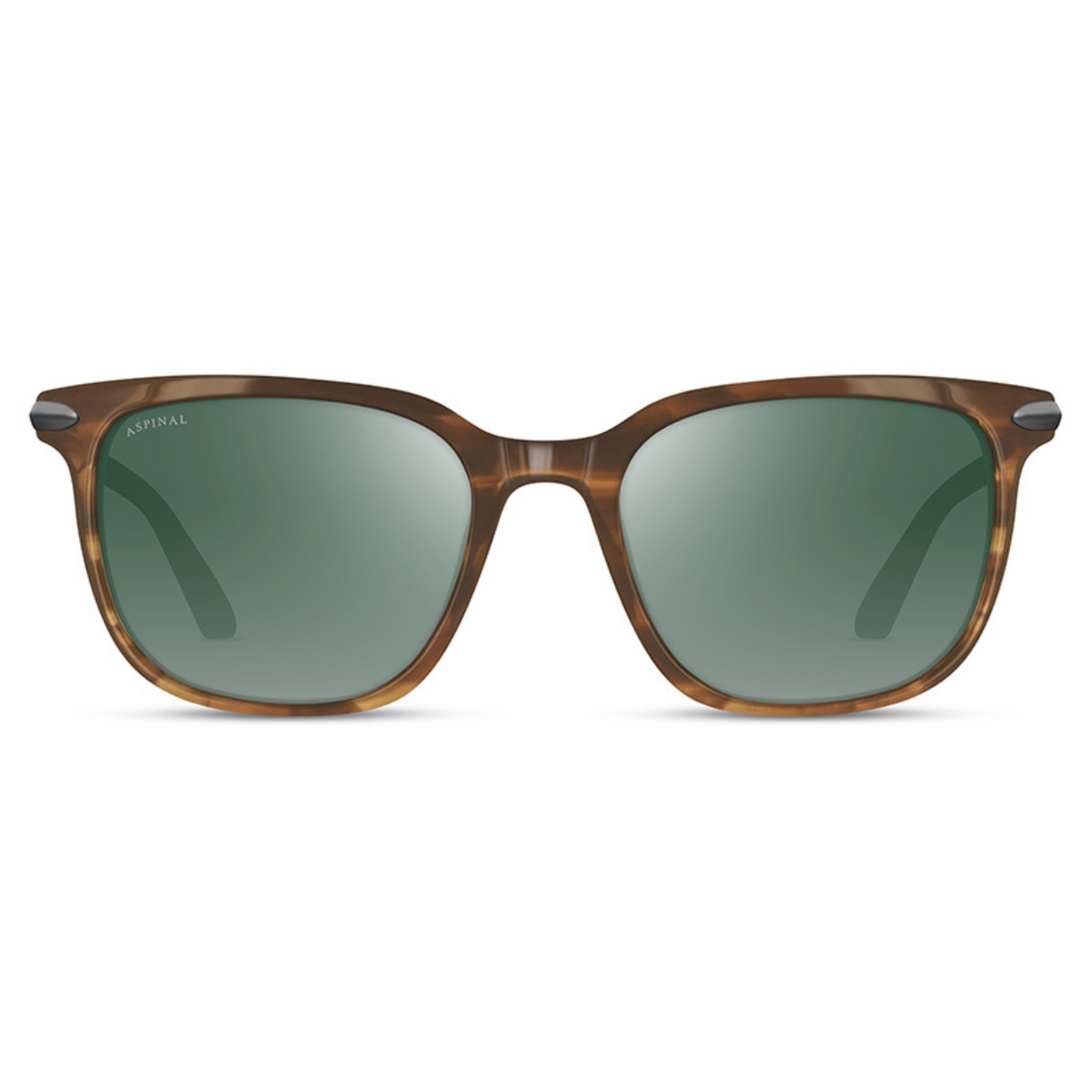 TRITON | Tortoiseshell