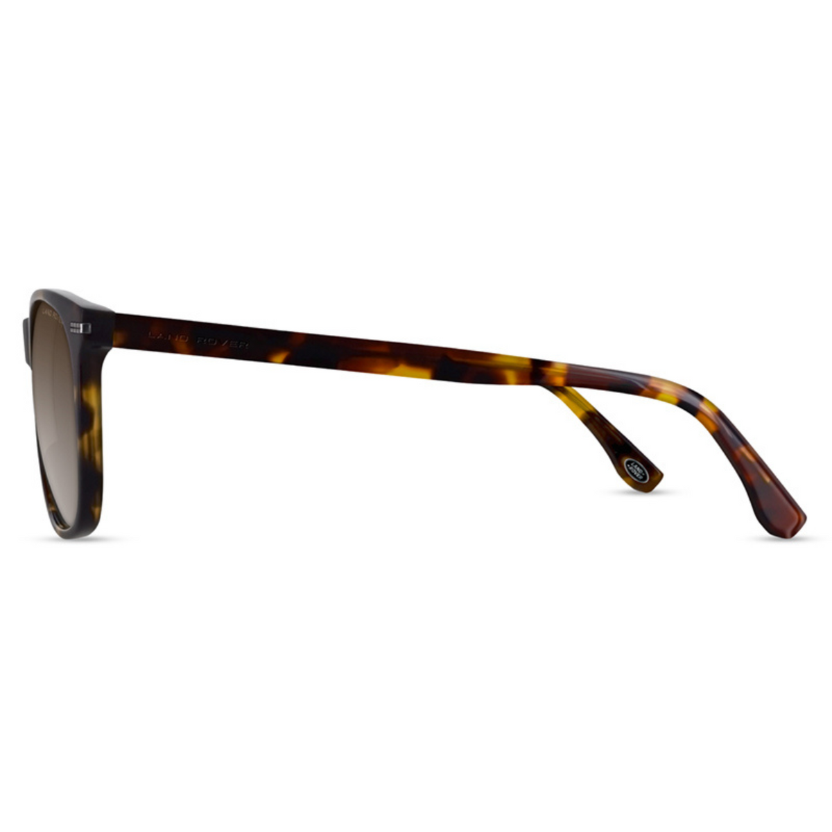 BURNHAM TRT: TORTOISESHELL