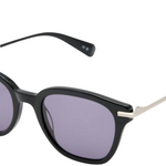 Valensi Panto Shape Sunglasses