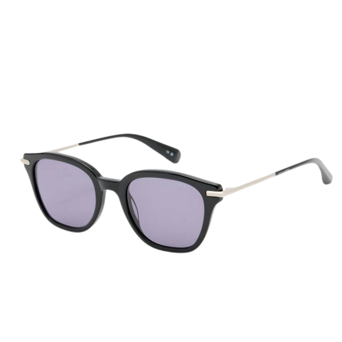 Valensi Panto Shape Sunglasses