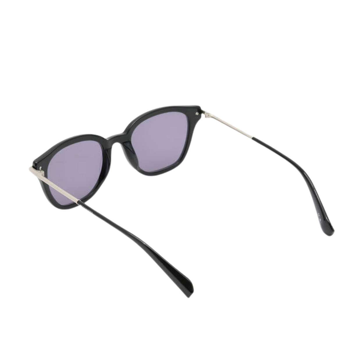 Valensi Panto Shape Sunglasses