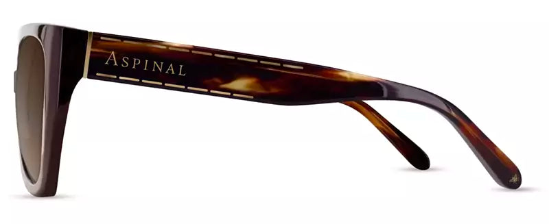 Aspinal of London HENLEY COL.02: Brown Tortoise