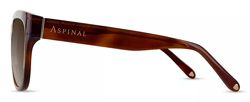 Aspinal of London LUMIERE COL.02: HONEY TORTOISESHELL