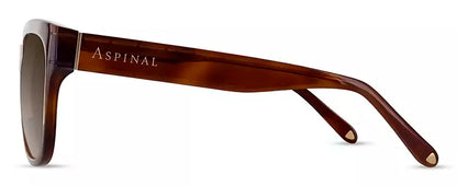 Aspinal of London LUMIERE COL.02: HONEY TORTOISESHELL