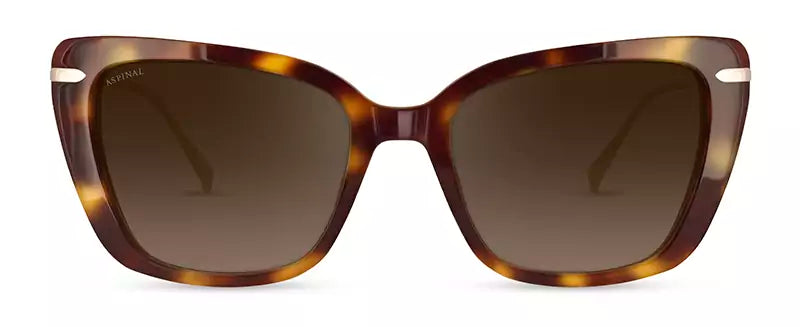 Aspinal of London RESORT COL.01: TORTOISESHELL