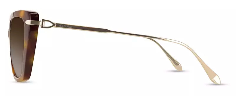 Aspinal of London RESORT COL.01: TORTOISESHELL