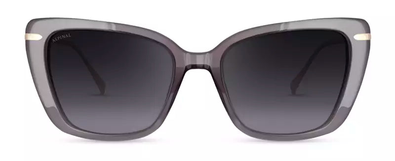 Aspinal of London RESORT COL.01: TORTOISESHELL