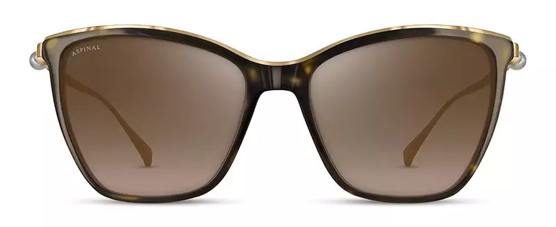 Aspinal of London SELENE COL.02: TORTOISESHELL
