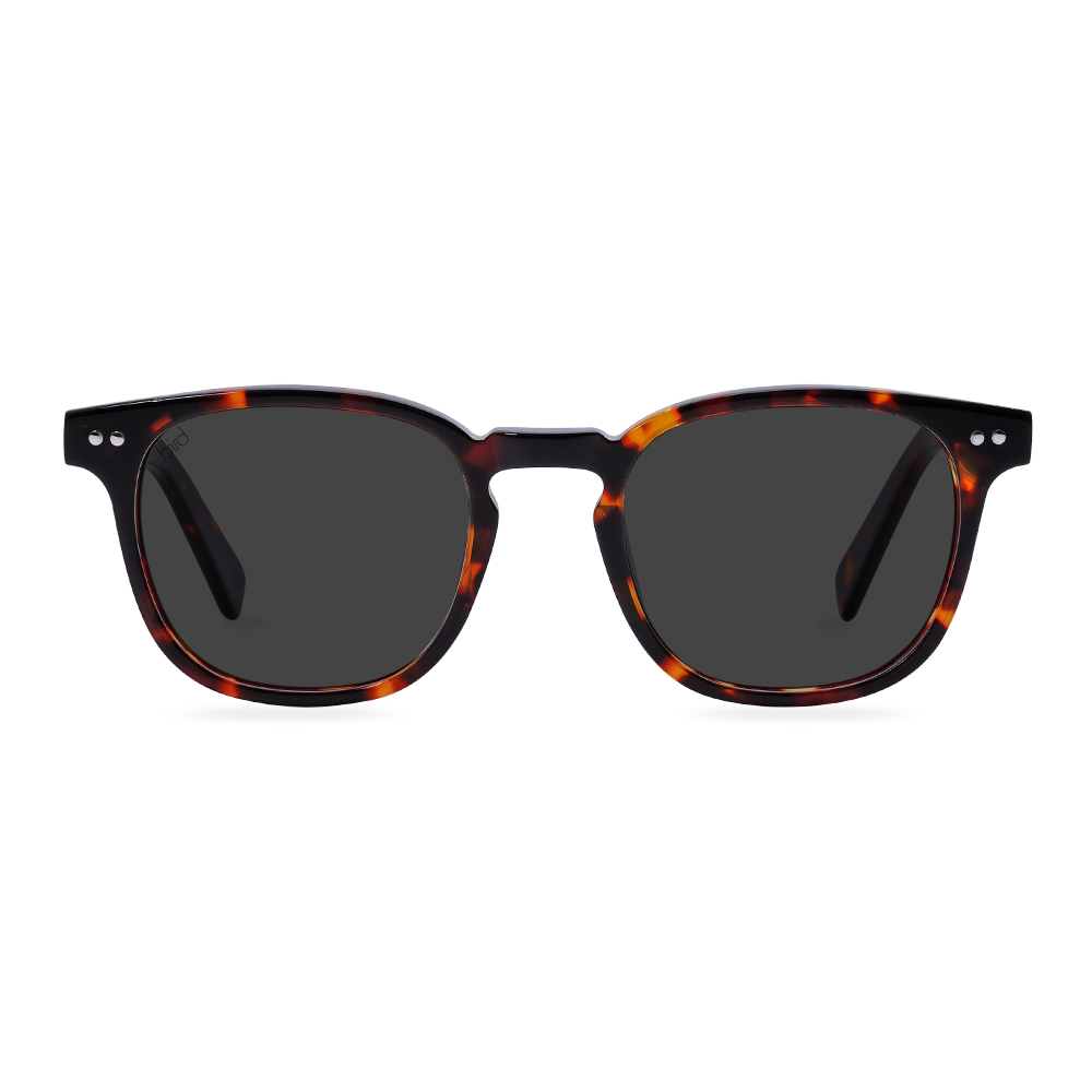 Alba | Tortoiseshell (small)